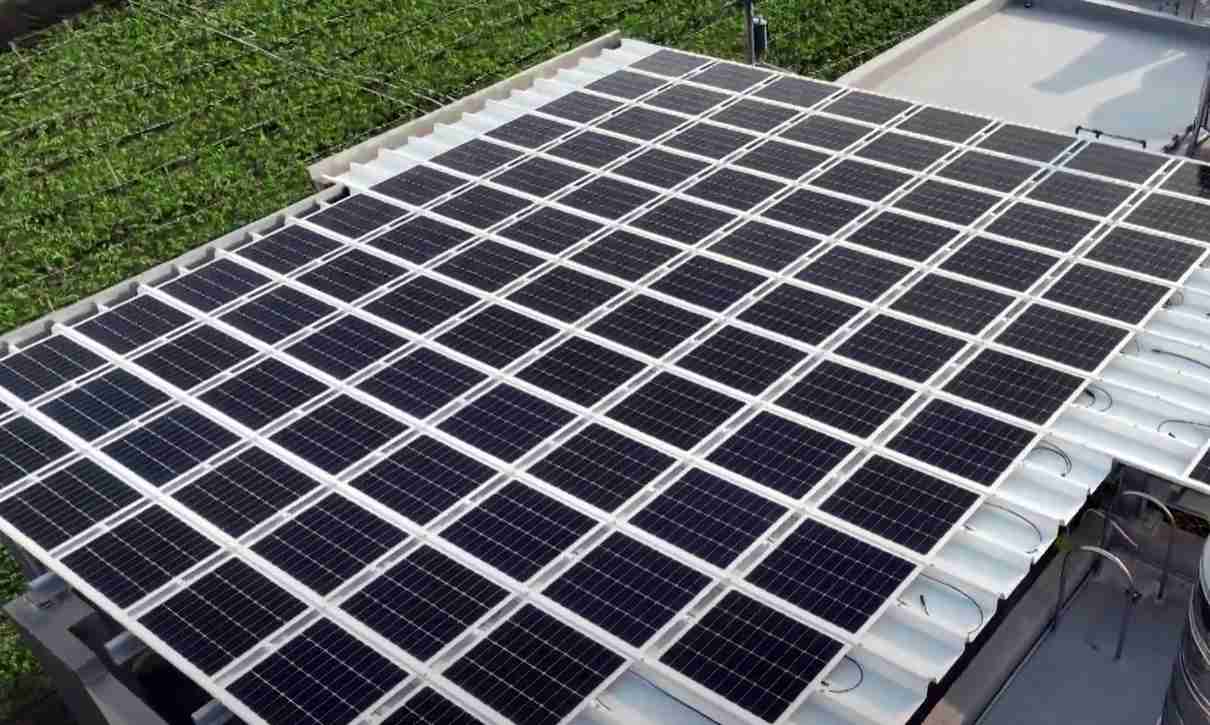 红龙扑克SunSteel光电浪板升级双玻结构，，，以提升机械负载强度及气候耐候度，，，，可广泛运用于多元场域